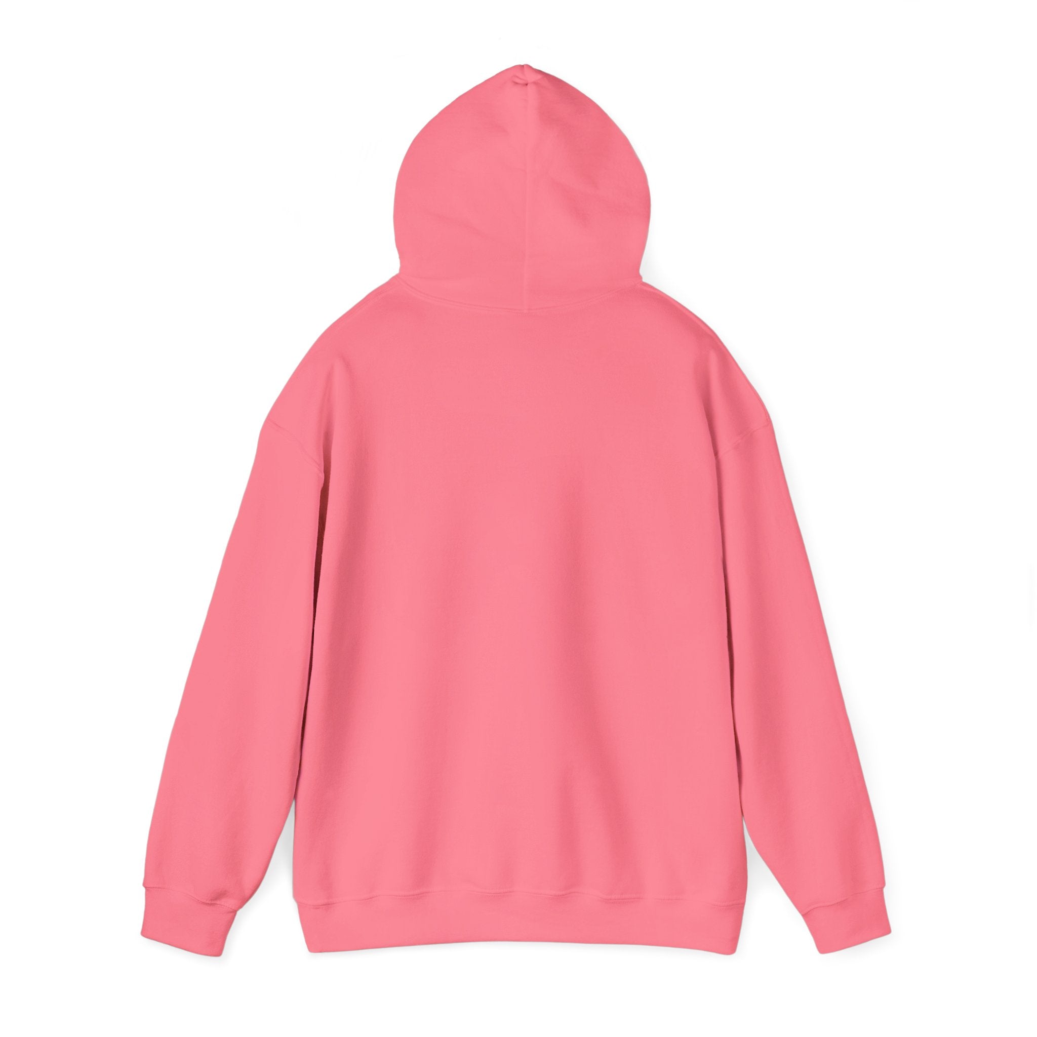 Rockhound Hoodie – Cozy Sweatshirt for Crystal Lovers, Fossil Hunters & Geology Enthusiasts