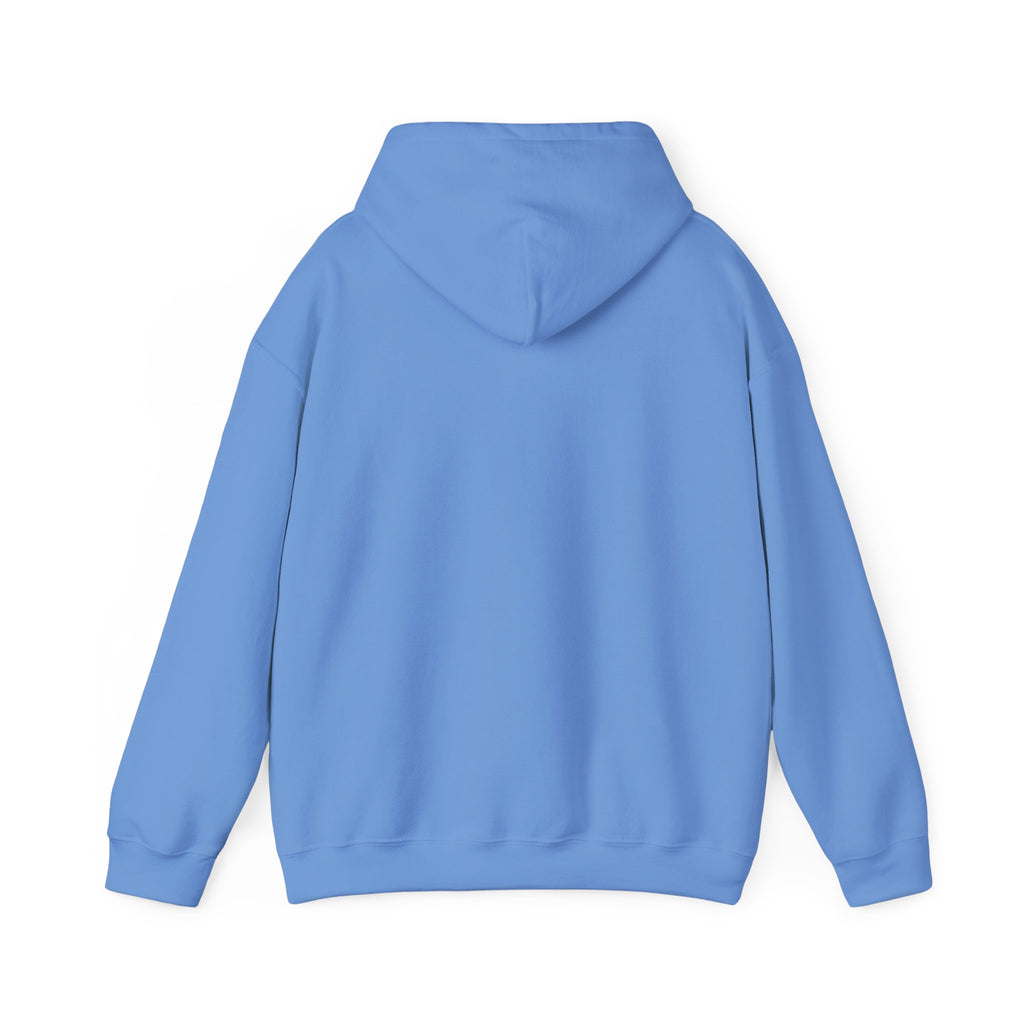 Rockhound Hoodie – Cozy Sweatshirt for Crystal Lovers, Fossil Hunters & Geology Enthusiasts