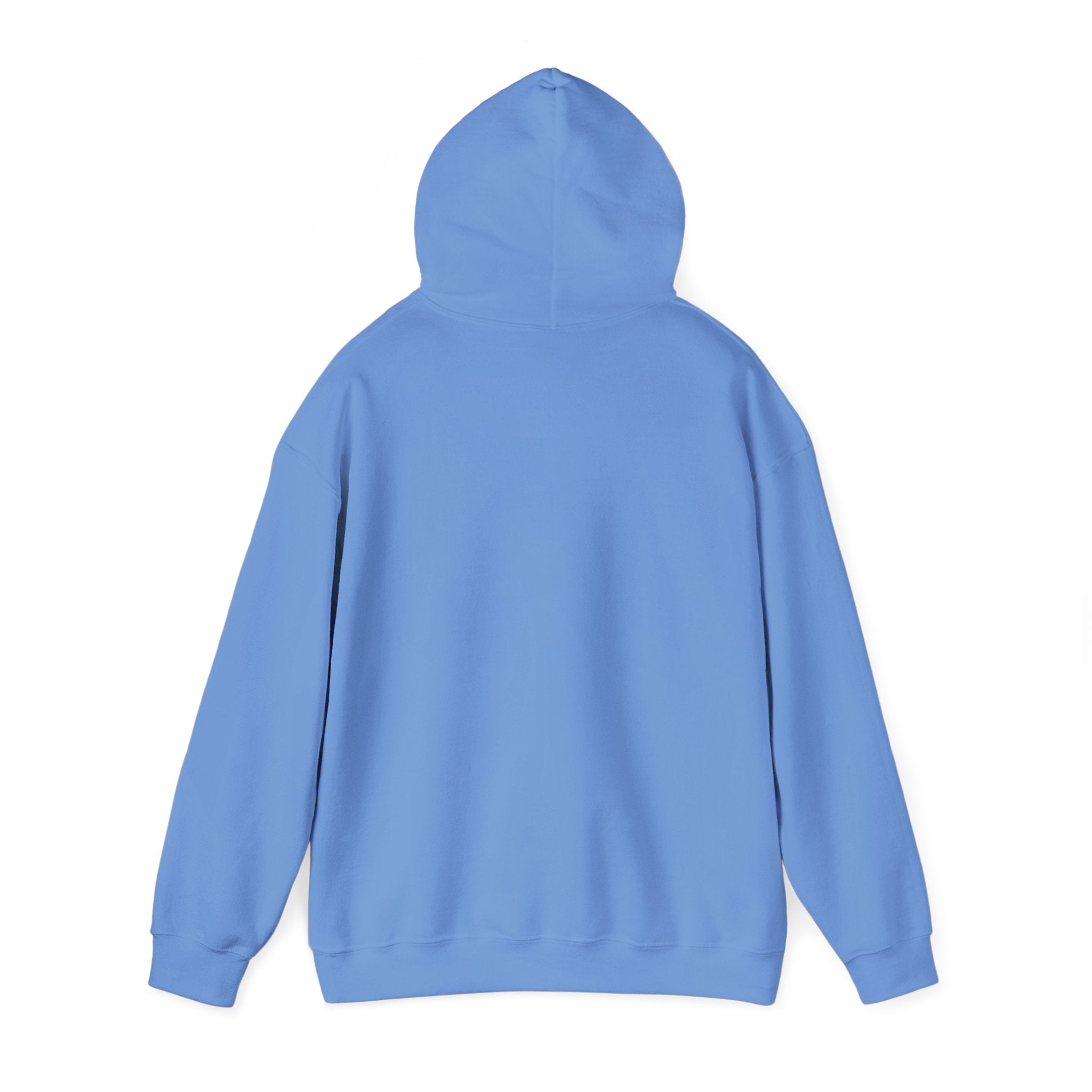 Rockhound Hoodie – Cozy Sweatshirt for Crystal Lovers, Fossil Hunters & Geology Enthusiasts