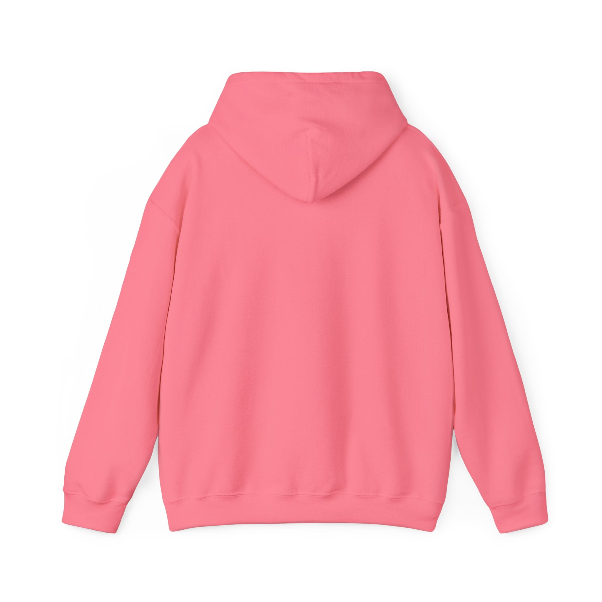 Rockhound Hoodie – Cozy Sweatshirt for Crystal Lovers, Fossil Hunters & Geology Enthusiasts