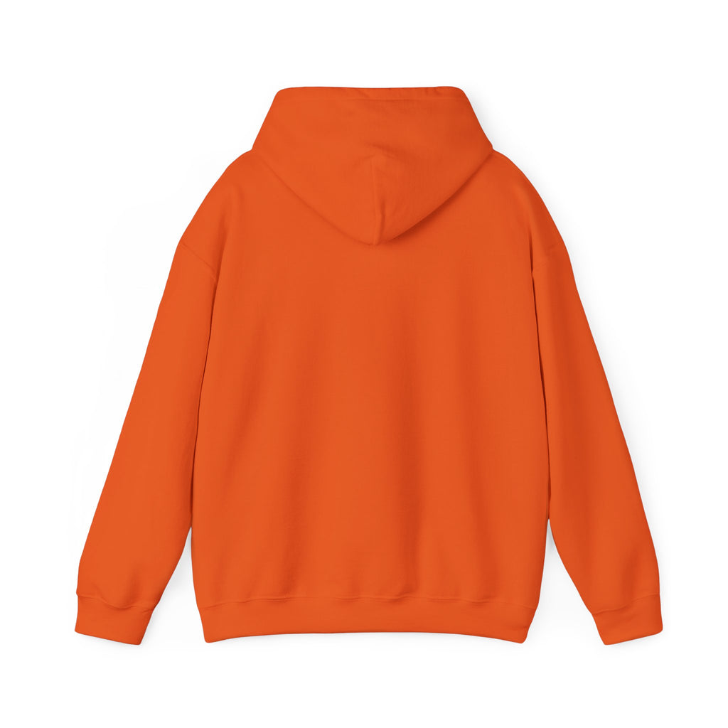 Rockhound Hoodie – Cozy Sweatshirt for Crystal Lovers, Fossil Hunters & Geology Enthusiasts