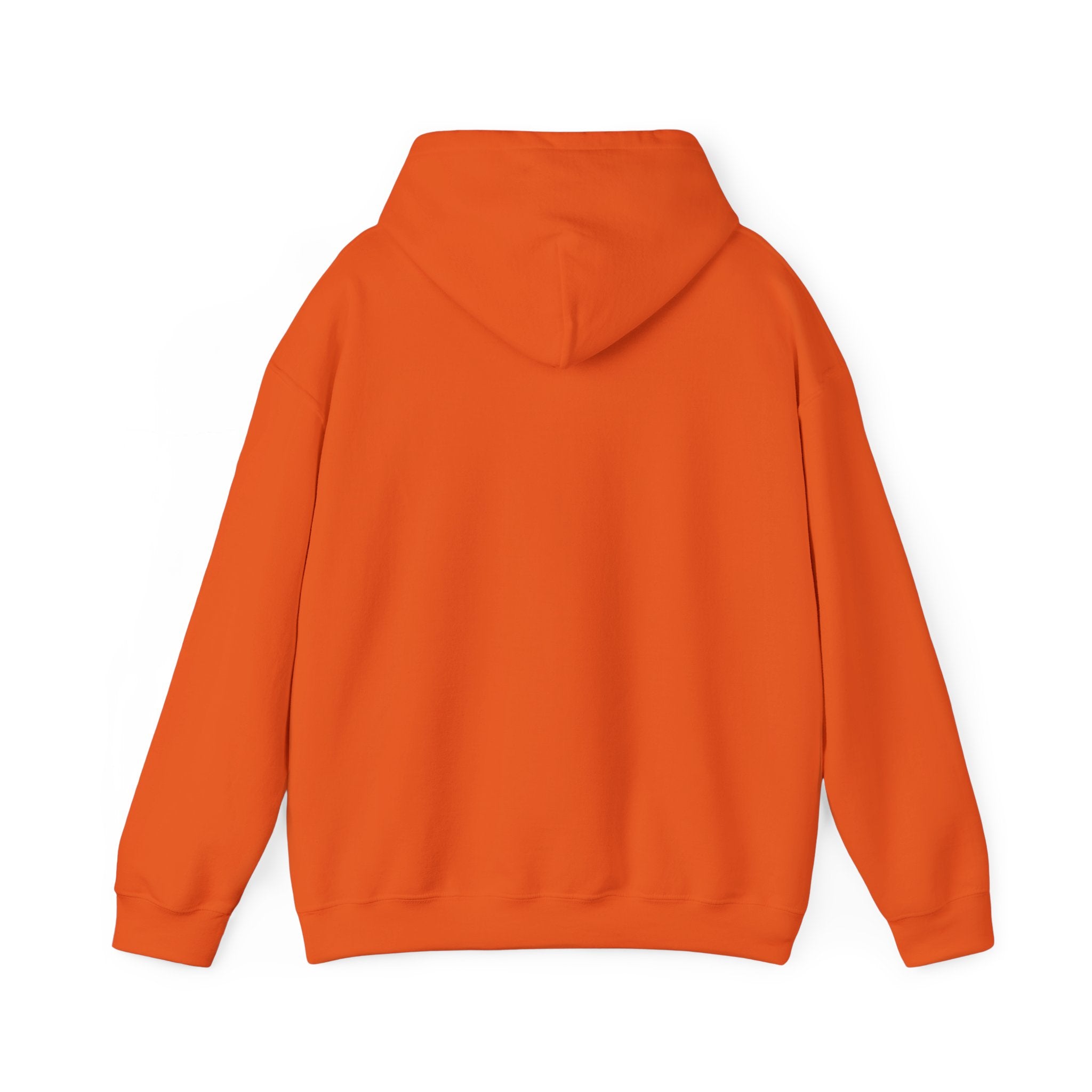 Rockhound Hoodie – Cozy Sweatshirt for Crystal Lovers, Fossil Hunters & Geology Enthusiasts