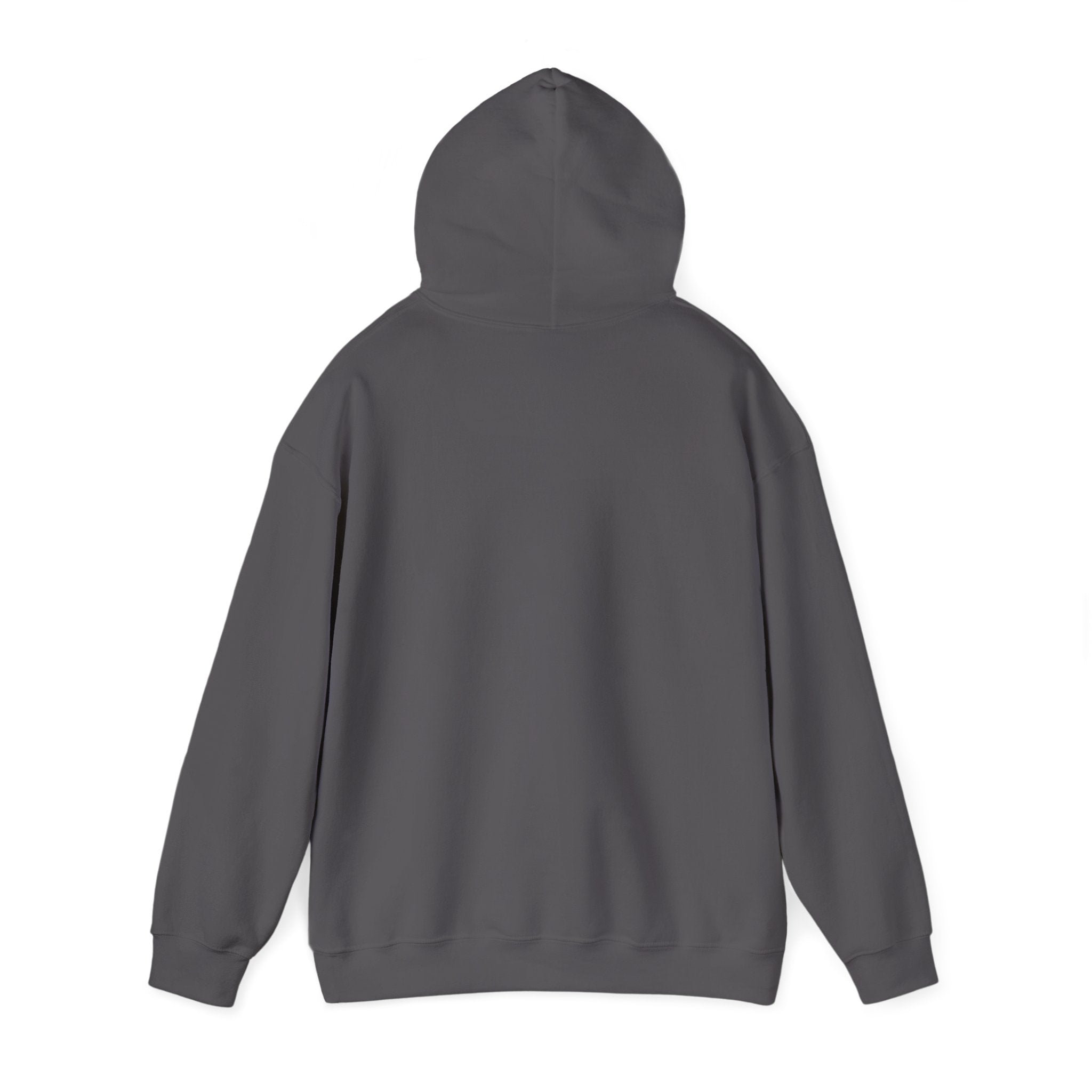 Rockhound Hoodie – Cozy Sweatshirt for Crystal Lovers, Fossil Hunters & Geology Enthusiasts